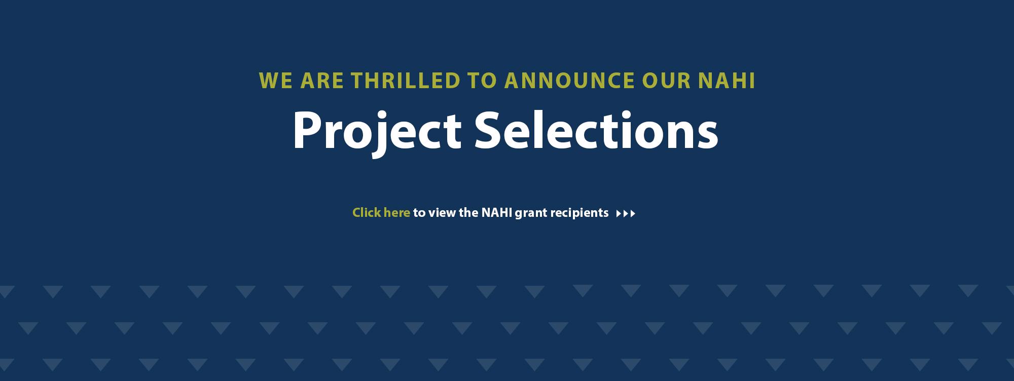 we are thrilled to announce our NAHI project selections. Click here to view the NAHI grant recipients. 