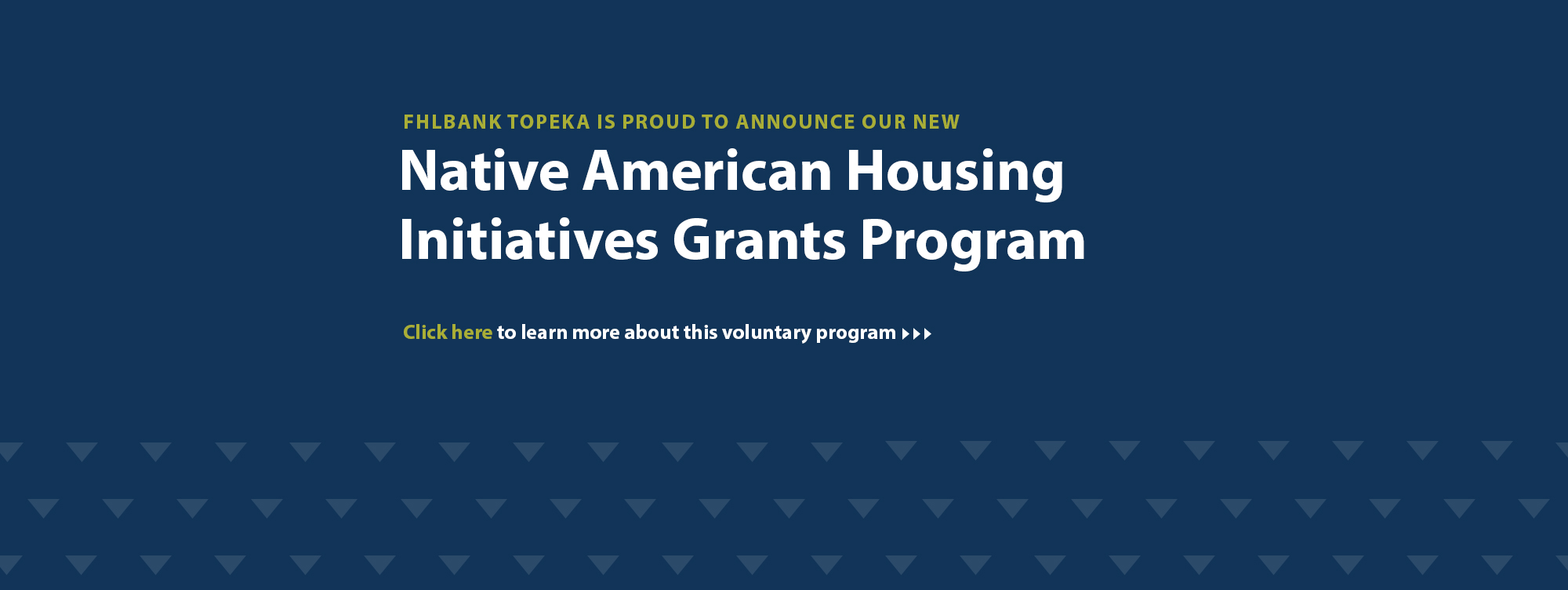 NAHI Grants Program Info